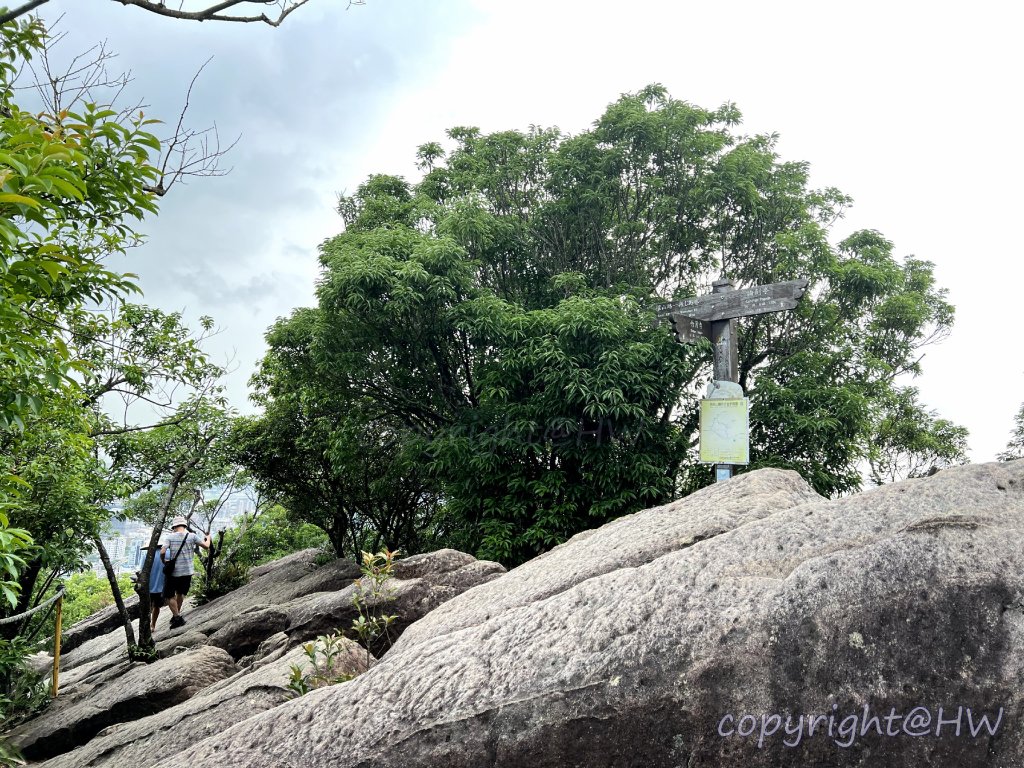 踢不爛大地遊戲-金面山_2496048