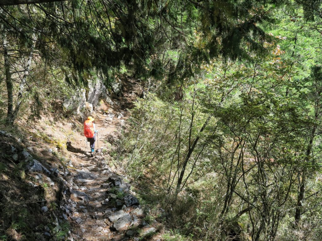 大霸尖山 伊澤山 加利山_1514866