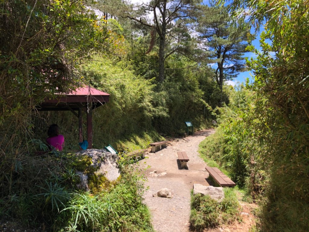 玉山主峰一日往返_1030234