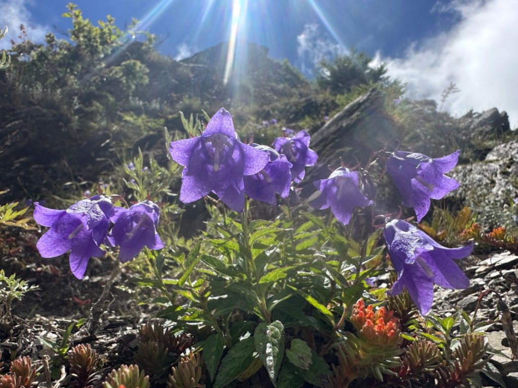 合歡山群峰（南峰、石門山、尖山、東峰）_2626653