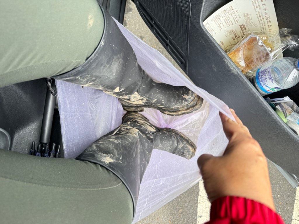 台灣山毛櫸。2023走訪2回。艷陽雨霧美景全收下_2350789