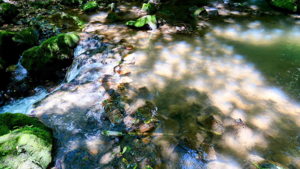 猴崁古道。盧特訪積_2773299