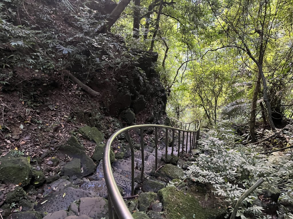 [山頂鳥40周年會員大縱走-08/15] 2024_0715 銀河洞越嶺登山步道_2556795