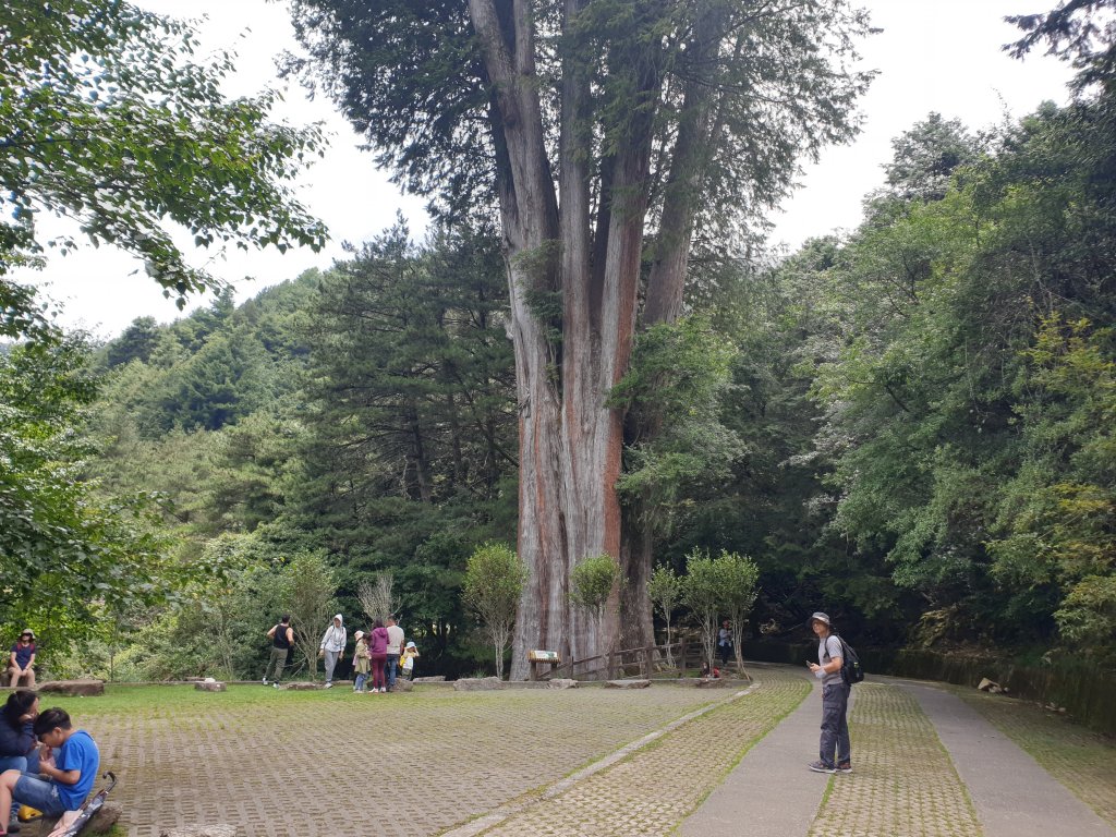 20220821大雪山森林遊樂區北三錐山_1834289