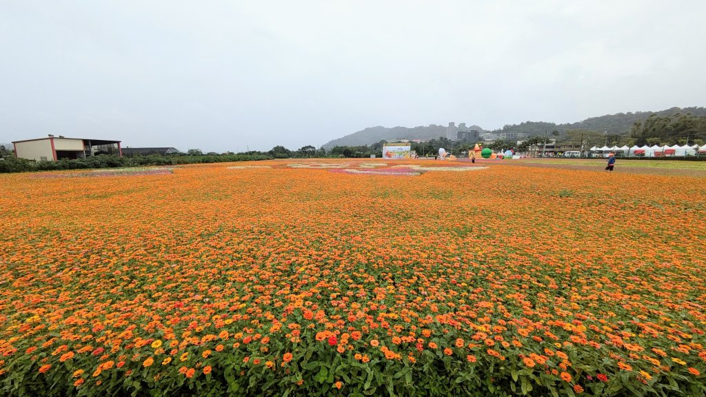 大溪花海的邀約_2650423