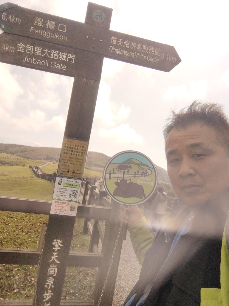 擎天崗草原_2678797