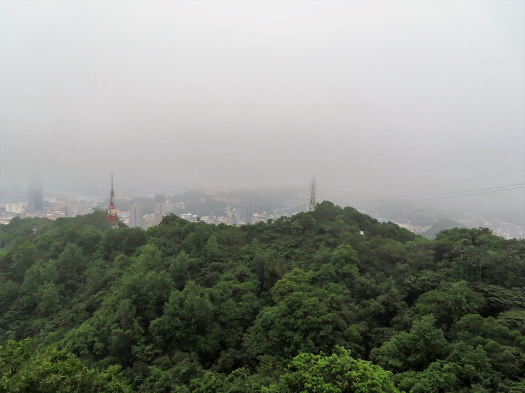 2021-0413 紅淡山尋寶趣_1348158