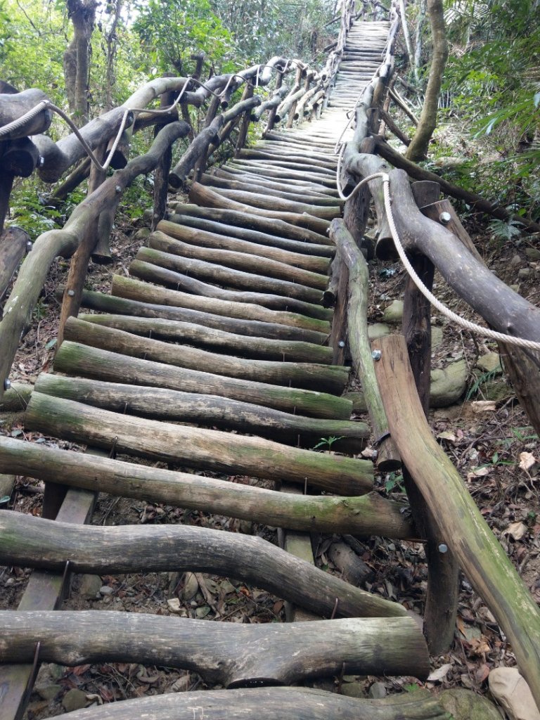 台中大坑1號+5號步道上頭嵙山_812220