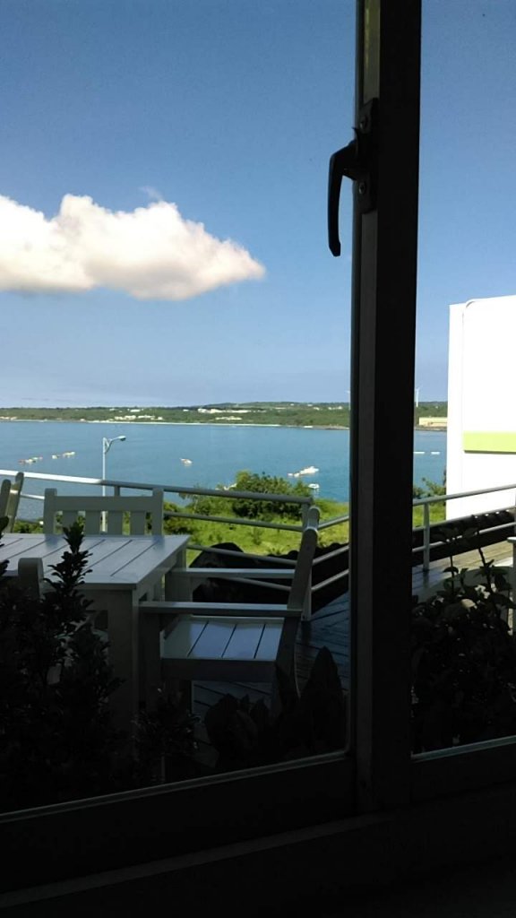 20180727大山母山_534356