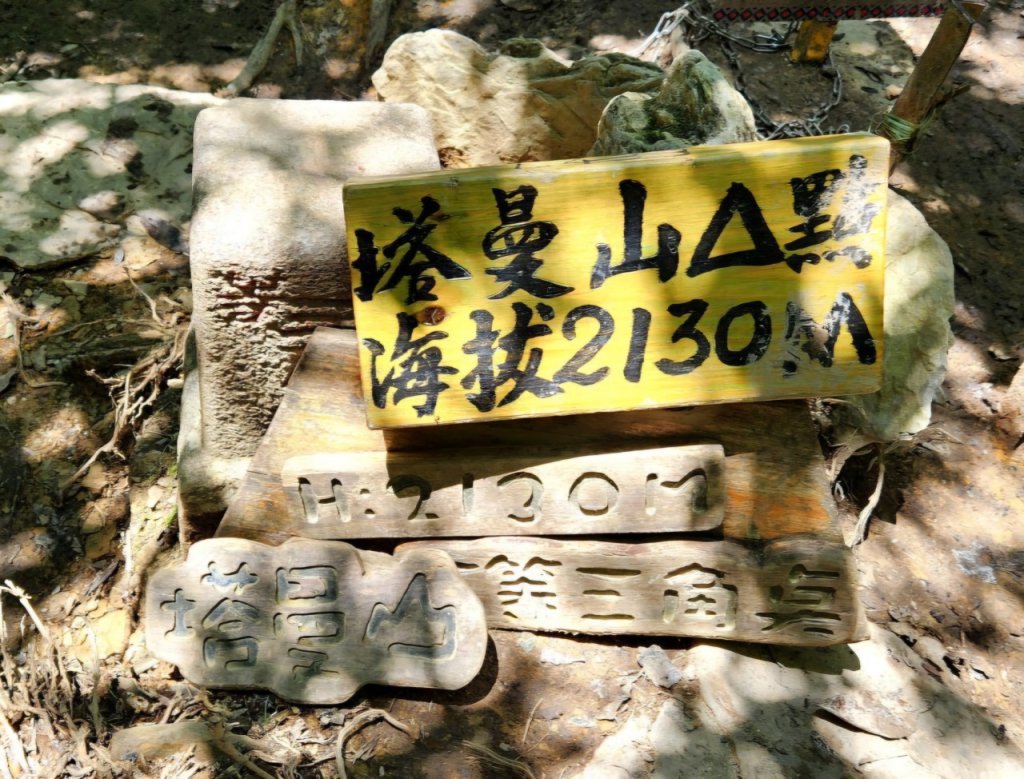 【中級山】是誰，在森林裡施放了魔法與巫術，幽靈草，如此魅惑，魔幻森林塔曼山_2743685