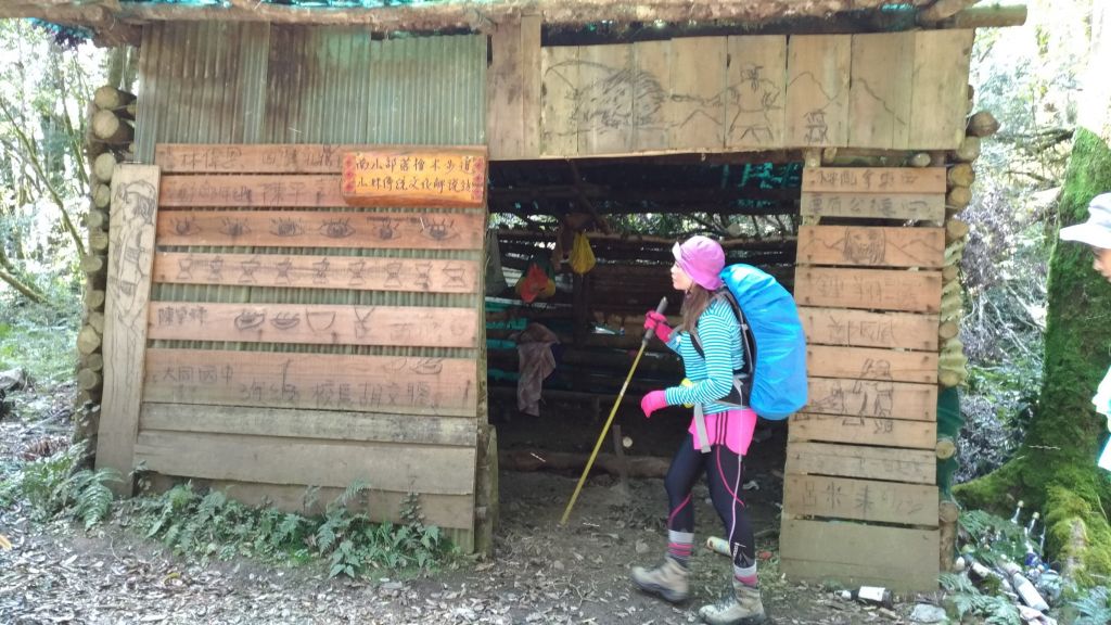 米羅山之木_292939