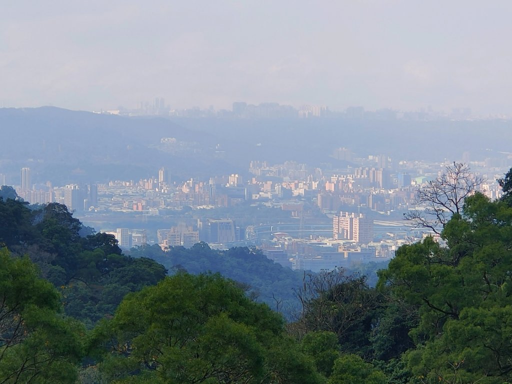 桐花公園、步道_1637261