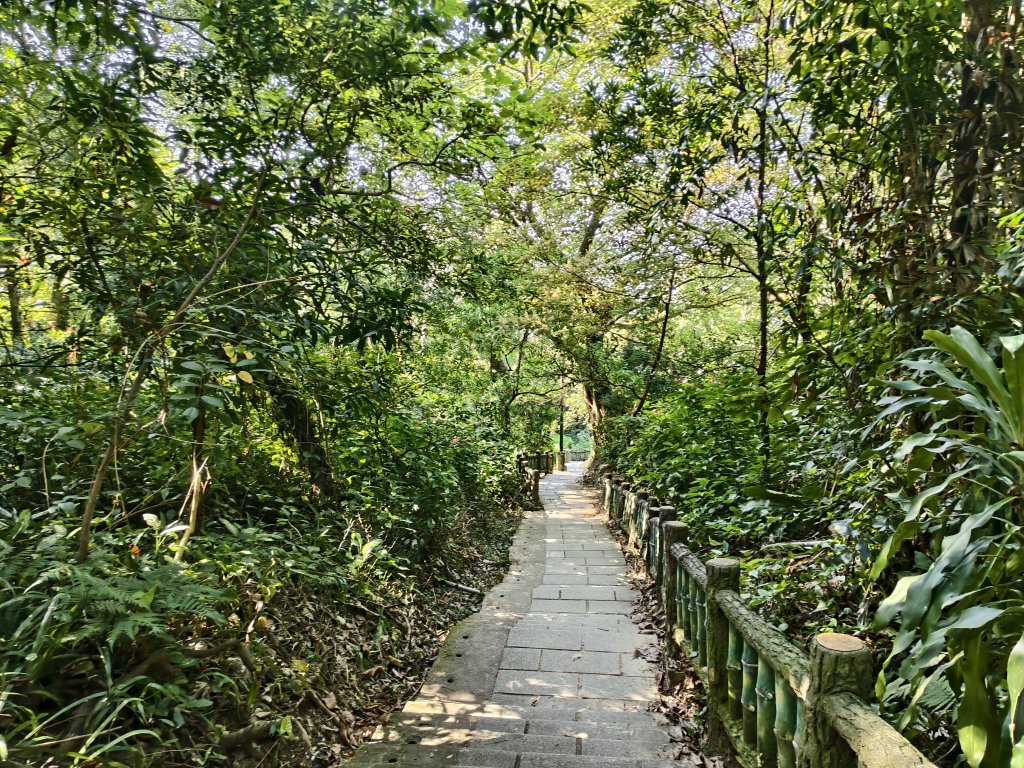 [百山百鳥尋旅-14/15] 2025_0929 劍潭山親山步道_2900947