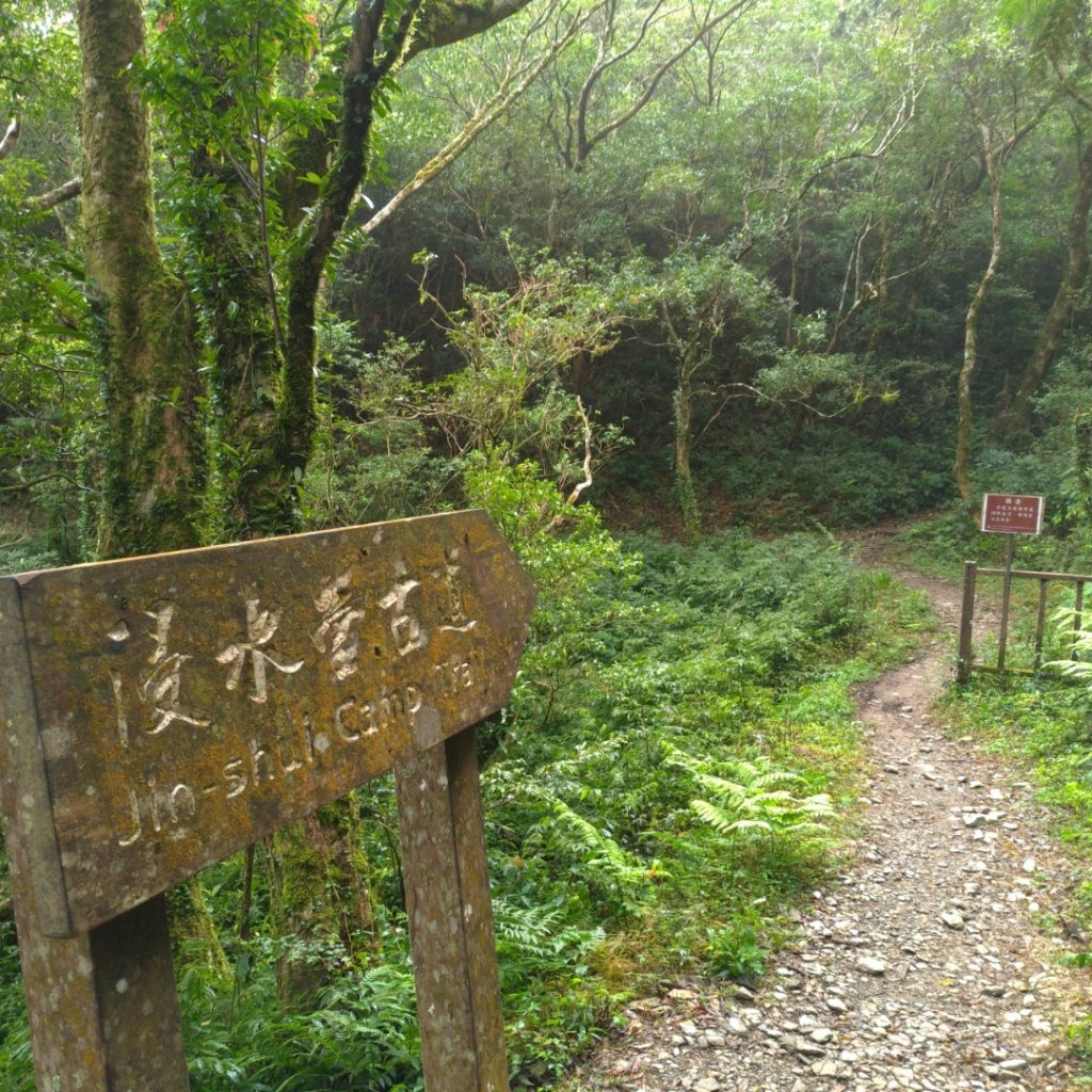 水森林姑子崙山---浸水營國家步道_835759