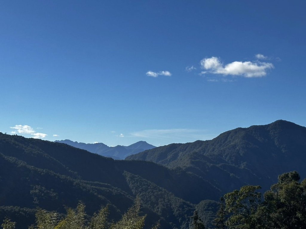 20260214 小百岳藤枝山_3002995