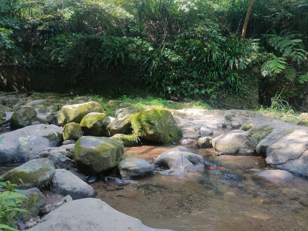 茶香環狀步道群（小天空、健康、壺穴步道、茶展中心步道）_2135880