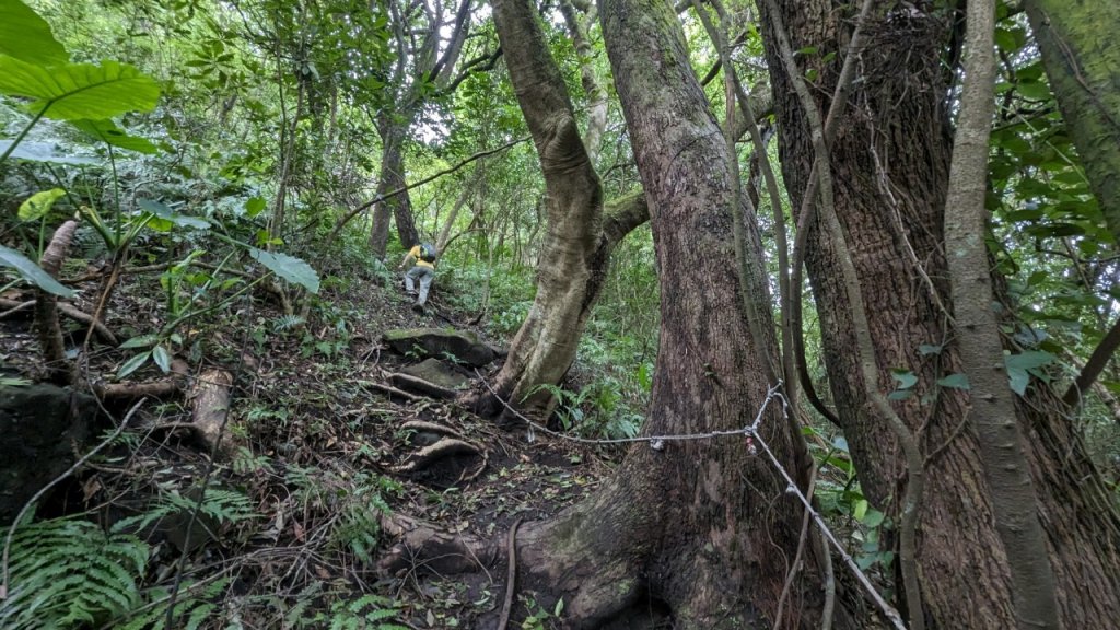 112.08.05湖山-紗帽山之旅_2240672