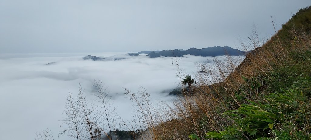 20250114東埔山；20250115二延平步道_2693860