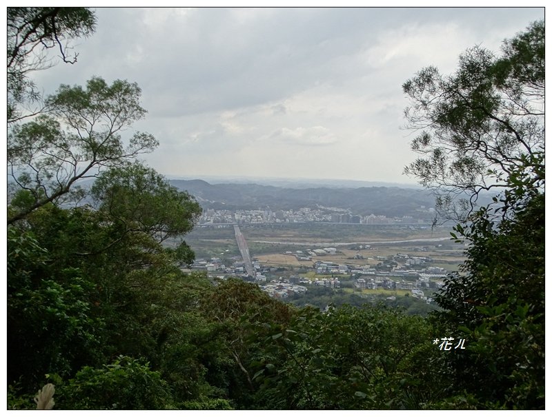 飛鳳山/觀日坪古道_773075