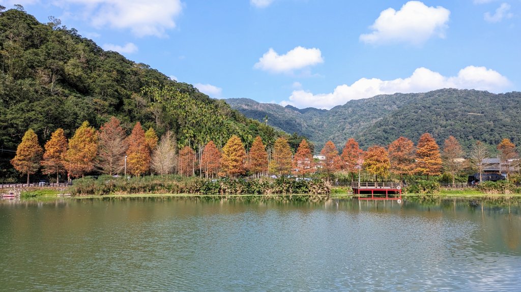 望龍埤,鎮頭山,蜊埤湖封面圖