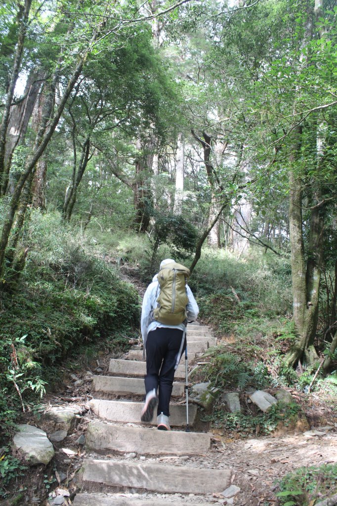 20231106高雄塔關山_2353939