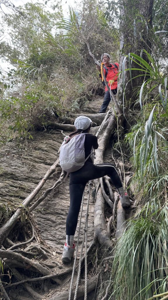 20260127小百岳三腳南山_2990271