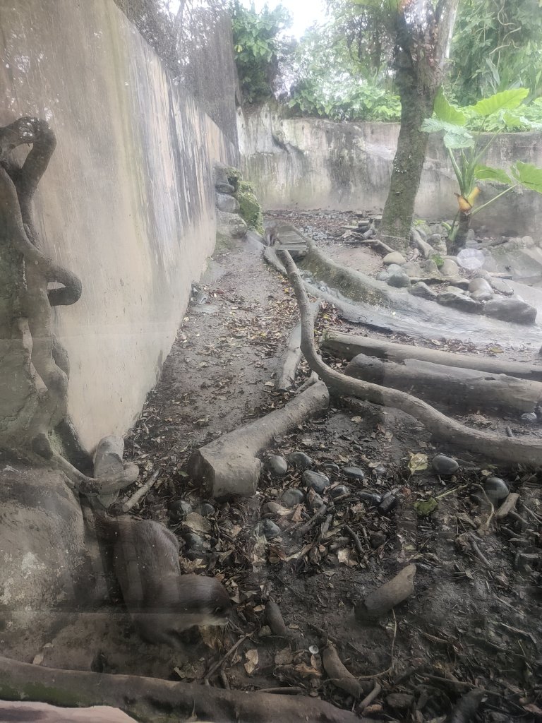 台北動物園_2664010