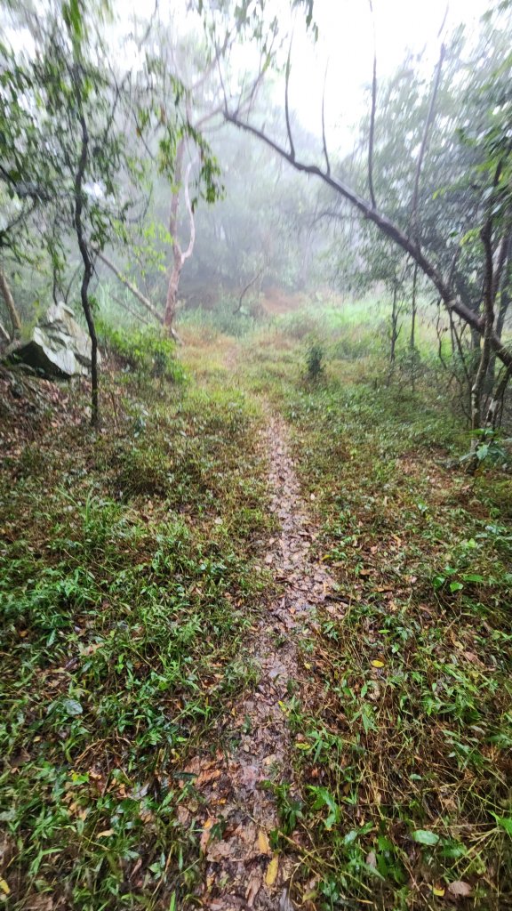 111/12/17六龜警備道：鳴海山-真我山-茂林_1978246