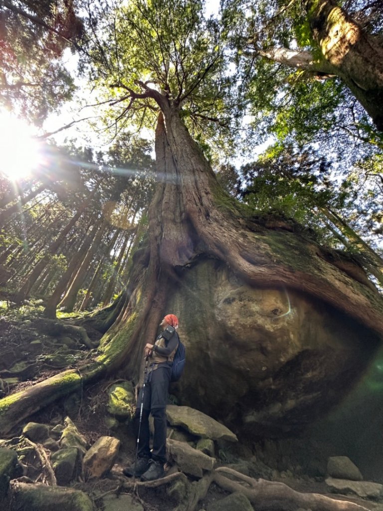 20231025⛰️二萬坪山 🌲黑森林🌲樹抱石 奮起湖老老街封面圖