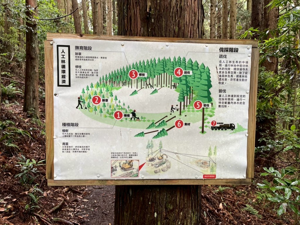 新竹 五峰 雪霸休閒農場 野馬瞰山步道_2811511