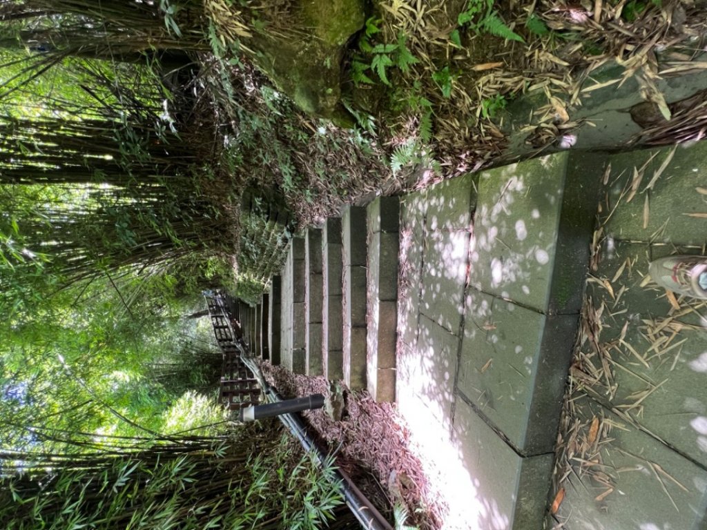 二訪硬漢嶺_1745801