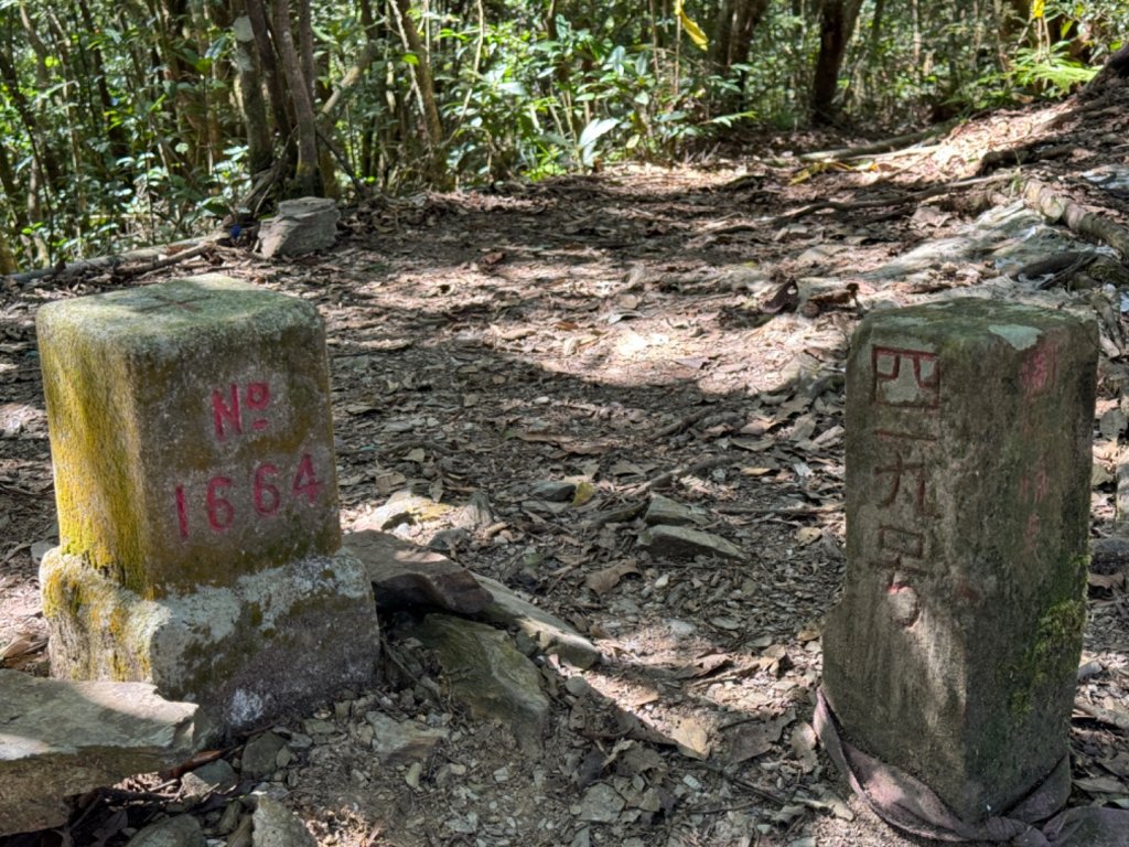 高雄市桃源區小百岳NO.68藤枝山(2-1664)，藤枝林道寶山巷17.1K反光鏡登山口_2357546