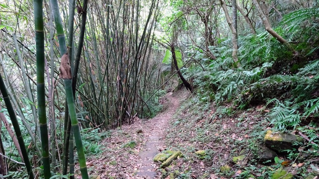 大艽芎古道,湳仔溝古道_1899727