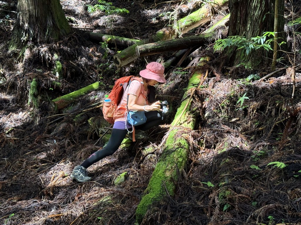 司馬限林道 訪 北坑駐在所_2811068