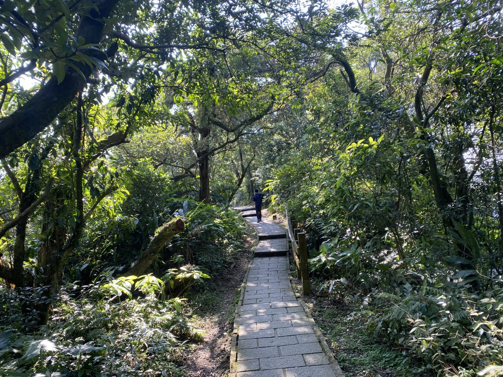 四獸山健走紀錄｜冬日九五峰健走｜福德街51巷起登 × 豹山溪步道下山_2985953