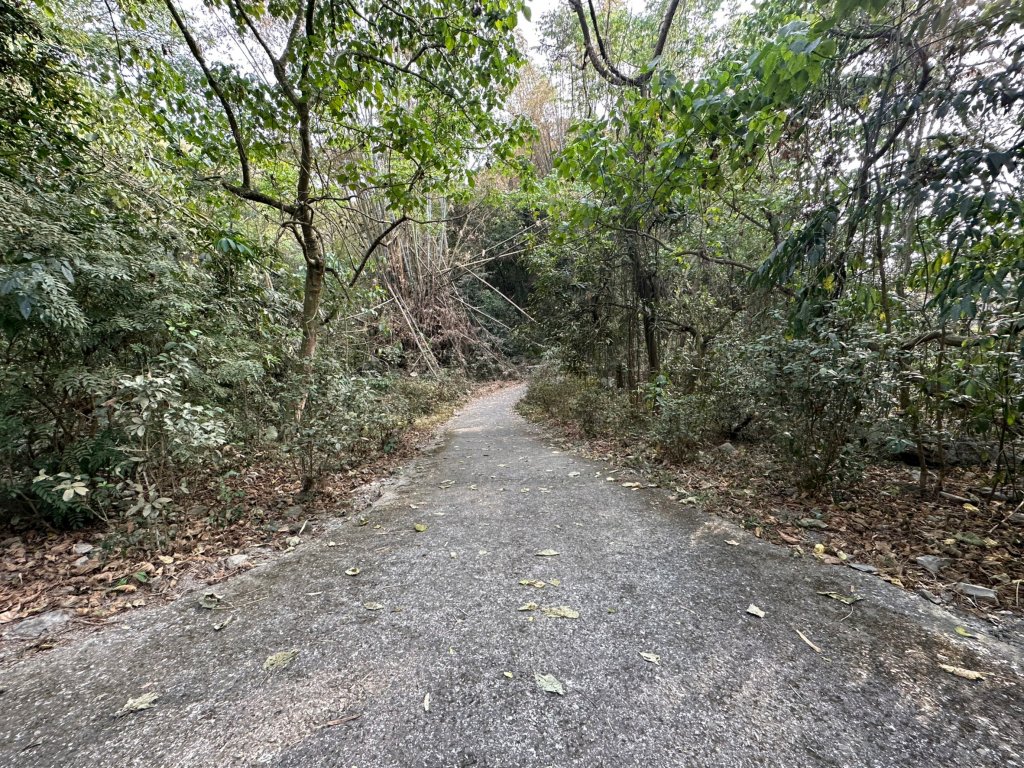 真的很硬的尾寮山_2039248