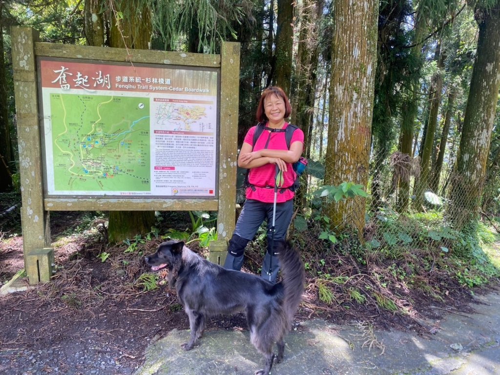 奮起湖環狀步道、麻竹湖步道_2638109