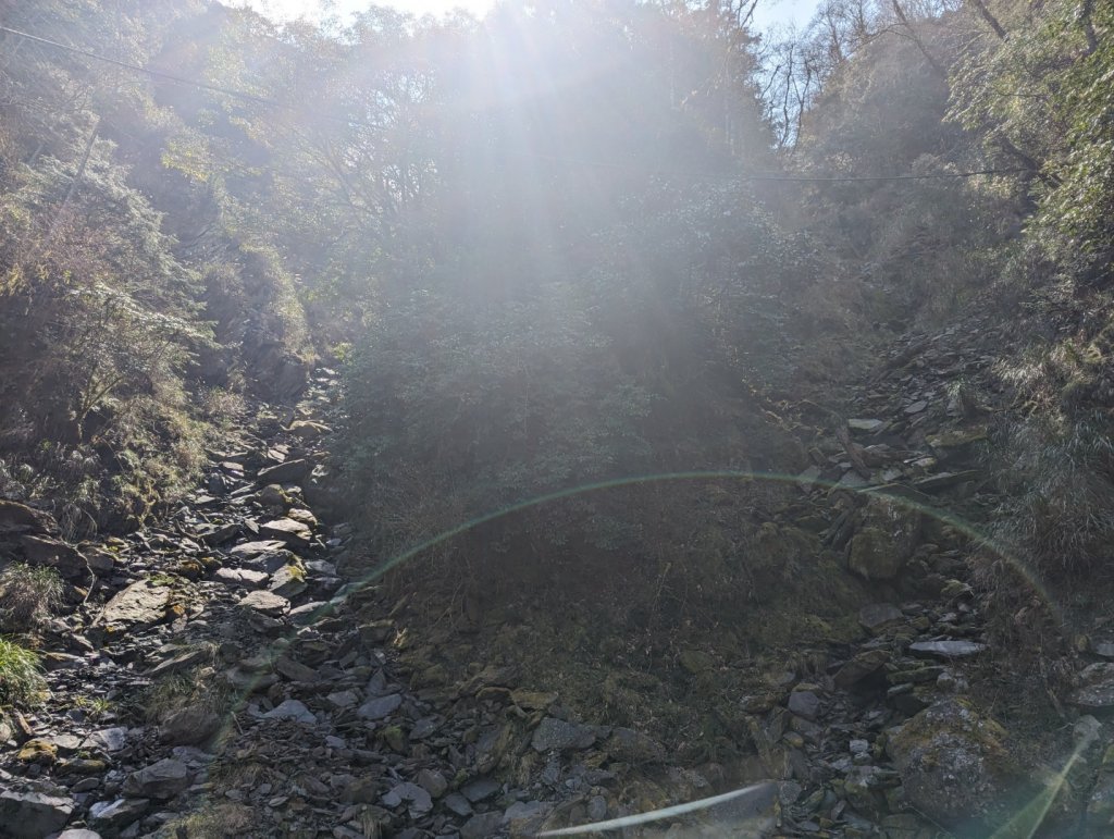 2023.02.25－檜山巨木森林步道_2042067