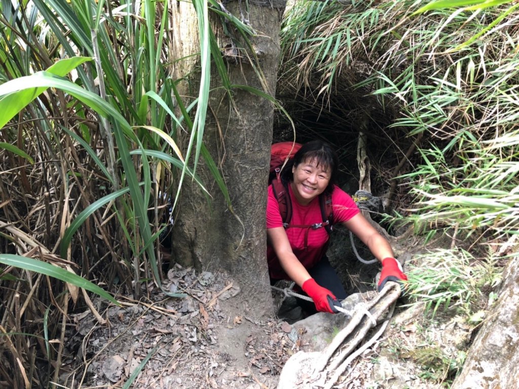 三腳南山、難山傻傻分不清楚_1240980