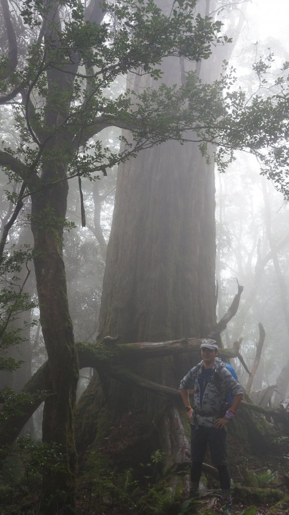 復興尖山之速_446541