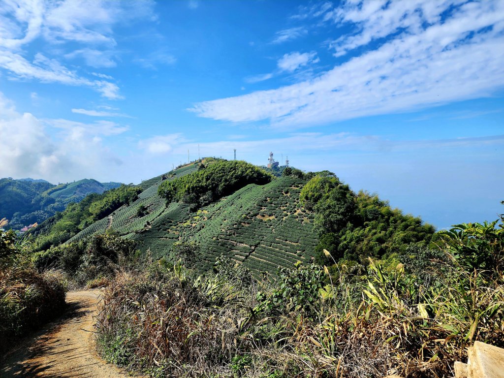 小百岳集起來-梨子腳山_2182939