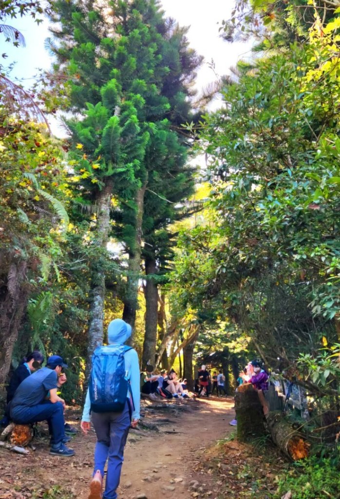 【中級山 】楓紅古戰場，馬那邦山_2741994