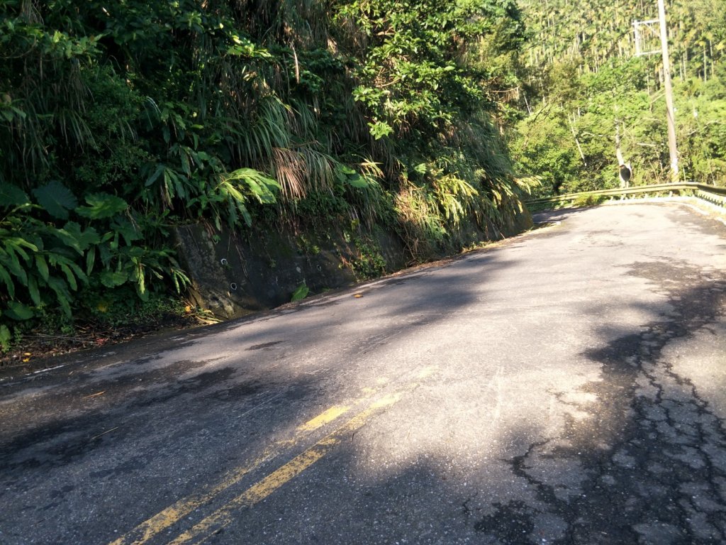 大埔大巃三角㸃歩道&凍子顶山_1451847