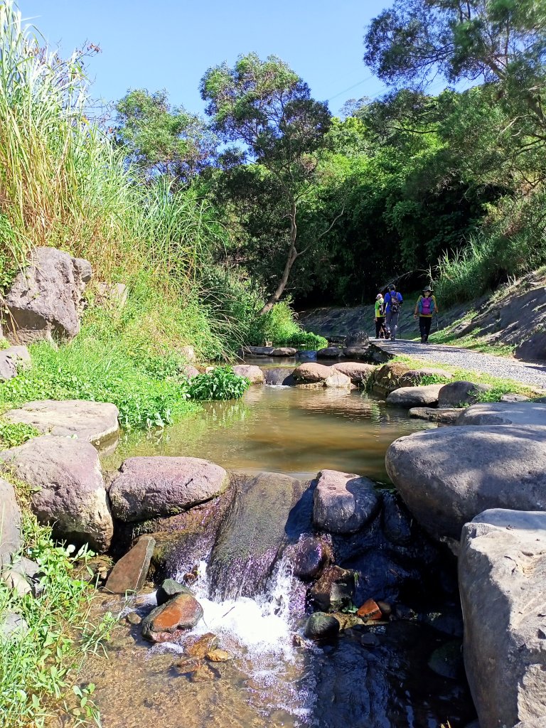 捷運大湖公園站→大溝溪→圓覺寺步道→鯉魚山小人國步道→鯉魚山東峰→鯉魚山→圓覺瀑布→圓覺寺步道→折返_1819719