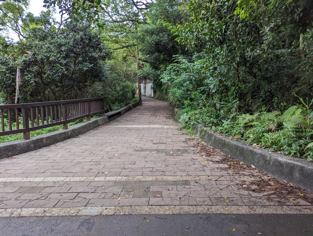 2023-09-08 十八尖山步道_2792888
