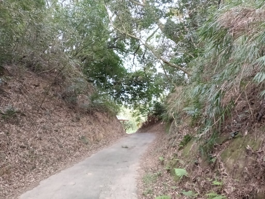 寶山鄉寶山水庫(寶山東峰+中峰+中西峰+西峰+西北峰)+尖山O型_3012513