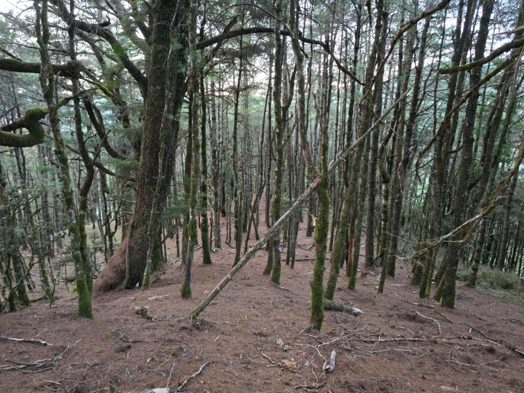 六順山七彩湖 20240225_2440161