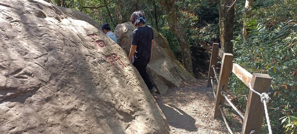 20220312_馬那邦山 細道邦山南峰 細道邦山_1637057