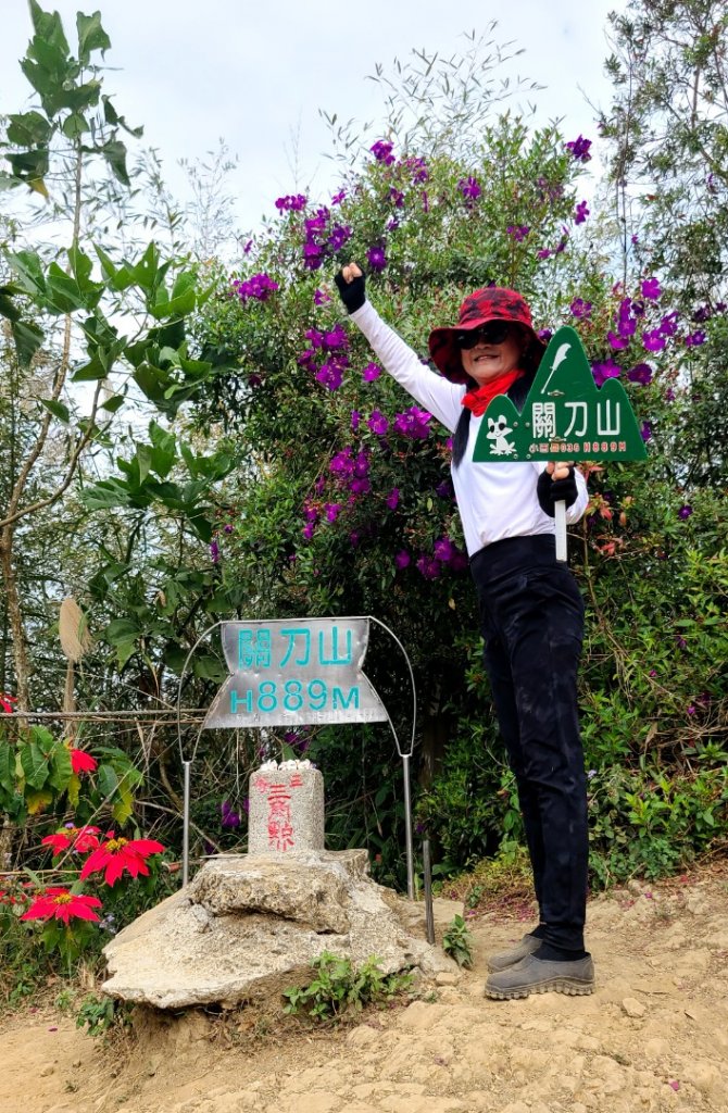 小百岳關刀山889m+銅鑼杭菊_1924026