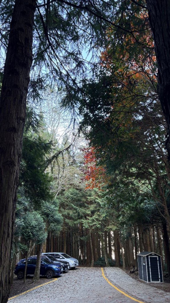 再也不爬囉（告別2025_2973148